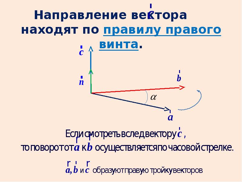 Вектор презентация 8 класс