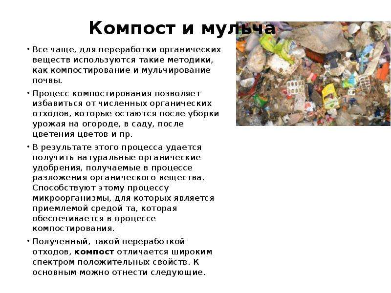 Компостирование отходов плюсы и минусы.