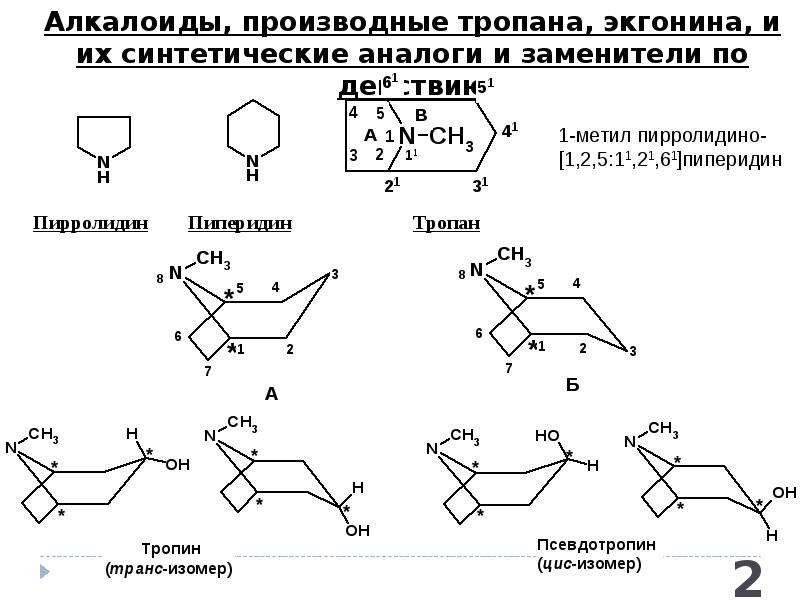 Производные группы. Алкалоиды ряда тропана. Фармхимия производные тропана. Алкалоиды - производные тропана: атропин, скополамин, кокаин. Алкалоиды группы тропана: атропин.