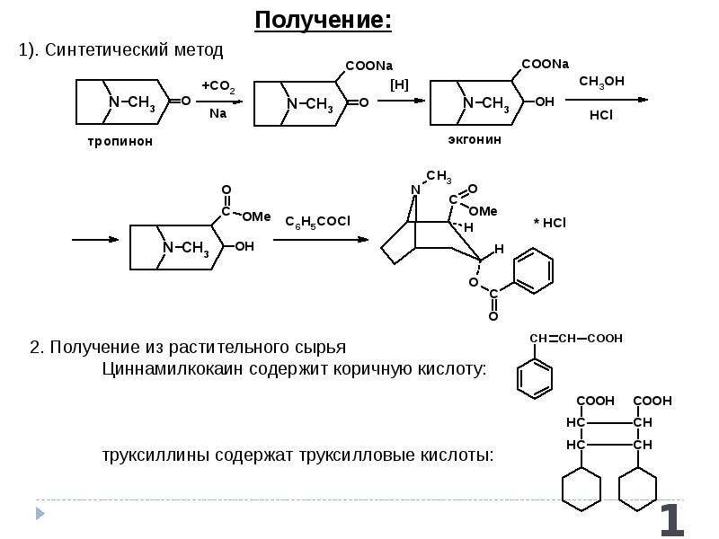 Получение компонентов геншин. Алкалоиды производные тропана. Метод получения алкалоидов. Схема количественного определения тропановых алкалоидов. Синтез алкалоидов тропанового ряда.