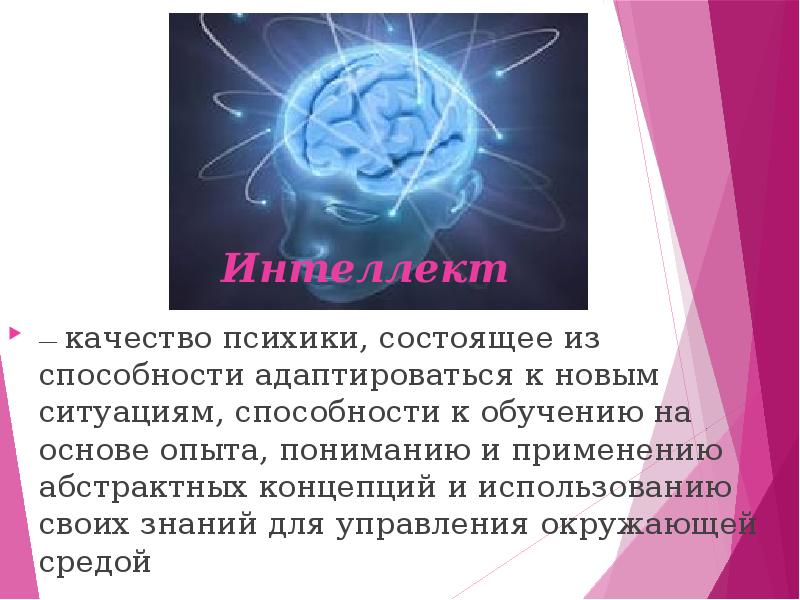 Личность и интеллект презентация биология 8 класс