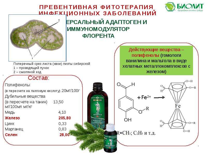 20 кислота. Фитотерапия инфекционных заболеваний. Полифенолы и железо. Дубильные вещества иммуномодулирующие. Реактив на дубильные вещества.