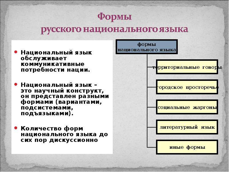 Формы существования языка. Формы существования национального языка. Формы существования русского национального языка. Формы существования русского языка. Национальный русский язык. Формы существования языка.