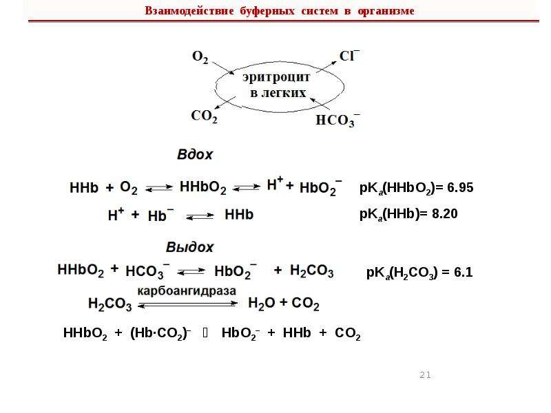 Буферные системы в организме человека проект