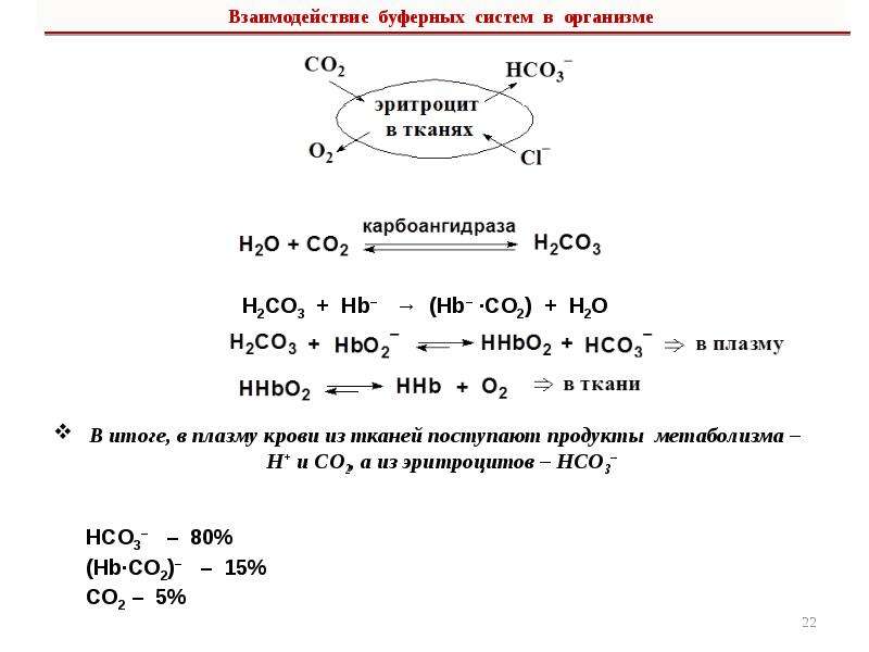 Буферные системы в организме человека проект