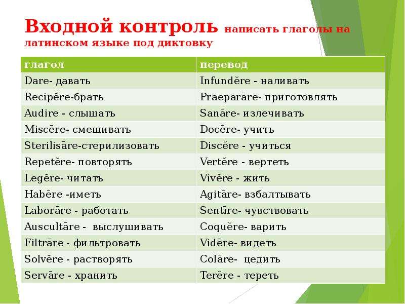 Перевод написан языком. Глаголы латынь. Латинские глаголы. Латинские глаголы с переводом. Глаголы в латинском языке.