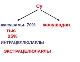 Су табиғаттың ерекше туындысы