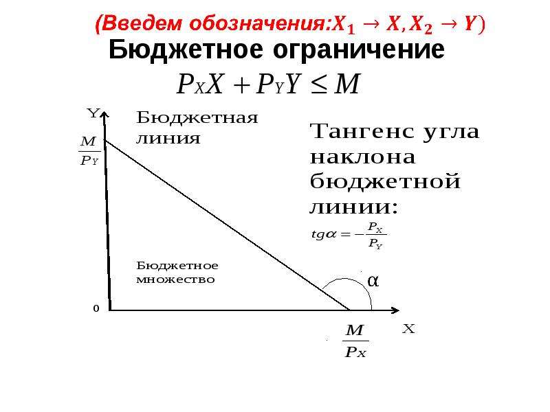 Бюджетное ограничение государства