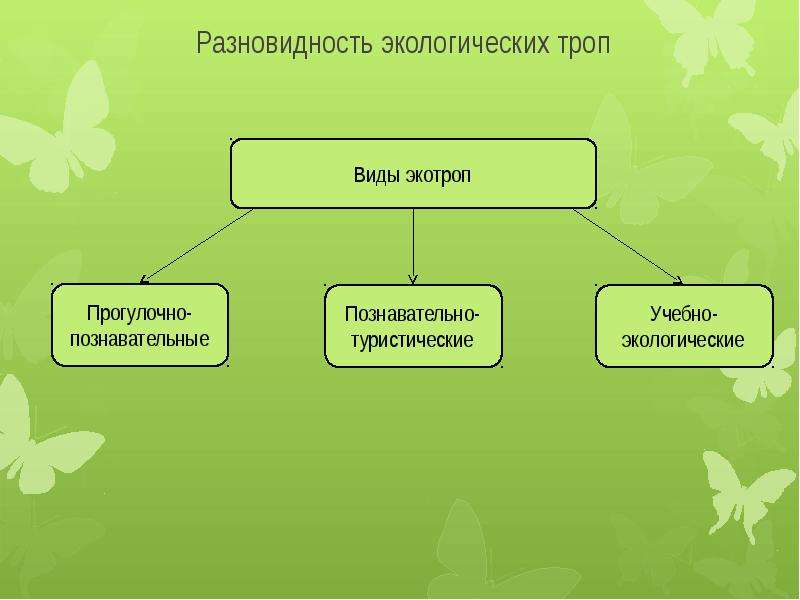 Окружающих вид. Виды экологических троп. Виды экологических маршрутов. Типы экотроп. Типы экологических тропинок.