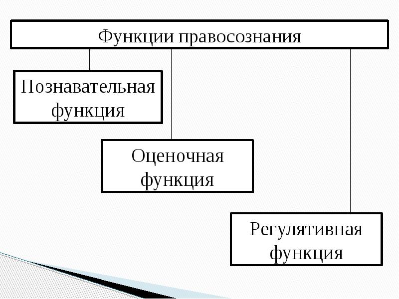 Правосознание предполагает составьте схему