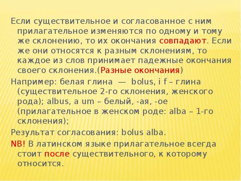 Почему существительное и прилагательное относятся к именам проект