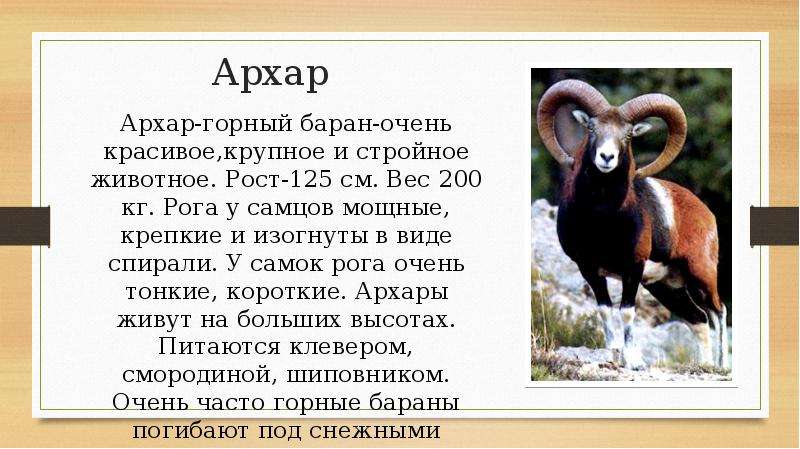 Красная книга республики алтай презентация