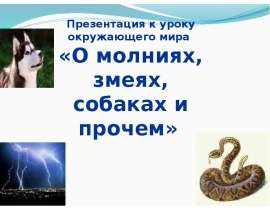 О молниях, змеях, собаках и прочем