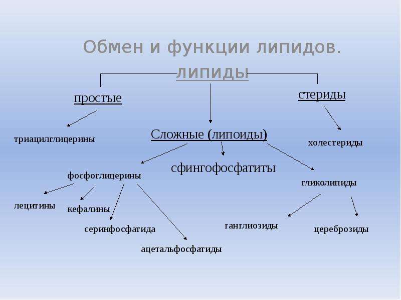 Белки липиды функции