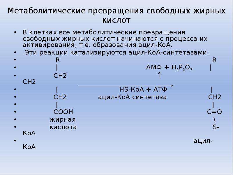 Трансизомеры ненасыщенных жирных кислот