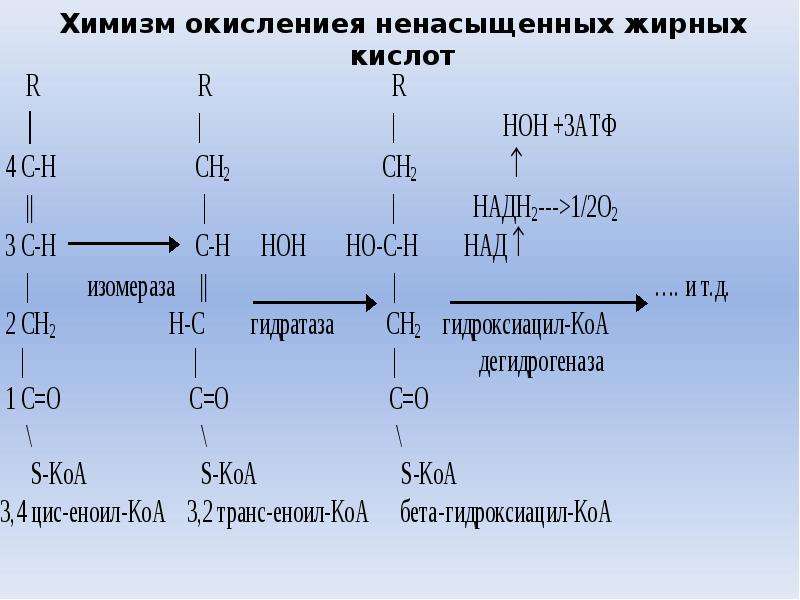 Трансизомеры ненасыщенных жирных кислот