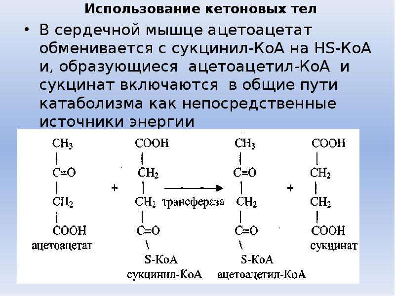 Кетонов тела