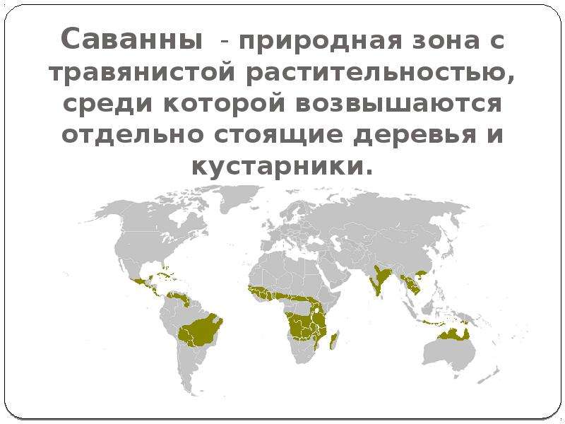 Субэкваториальный пояс какая природная зона