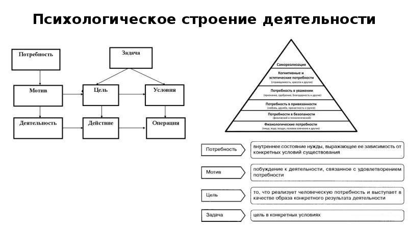 Общая психология в схемах и таблицах айсмонтас