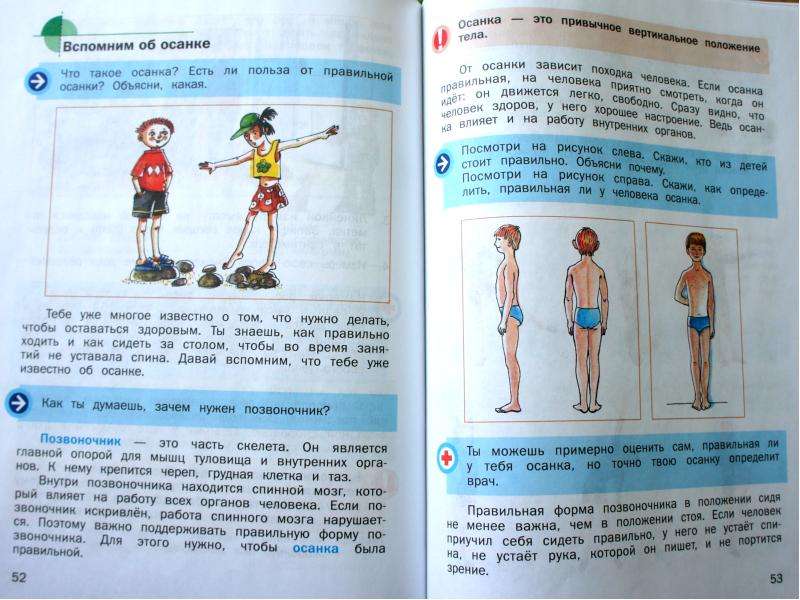 Привычное вертикальное положение человека