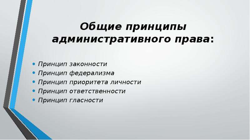 Обществознание 11 класс основные принципы административного процесса. Принцип гласности административного процесса. Принцип ответственности. Принцип приоритета личности в административном праве.