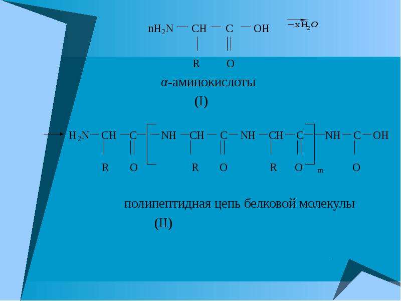 Ch nh2 o. Аминокислоты o=c-Oh-h2n-Ch. H2n Ch c o Oh r. C Ch. H- N- Ch- c - Oh.