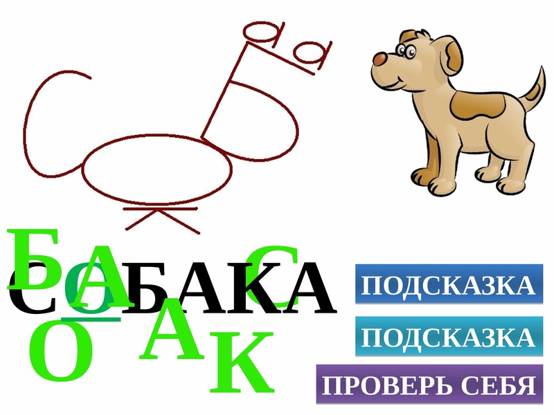 Собака словарное слово картинка