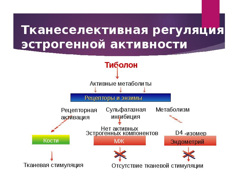 Эстрогенный тип мазка что это значит