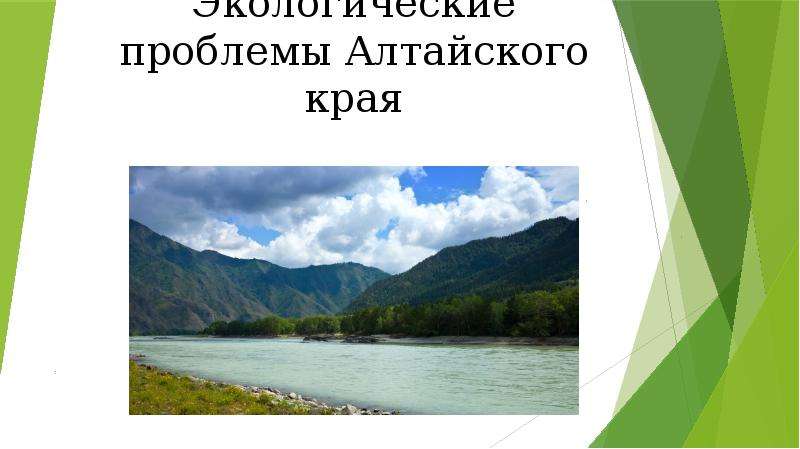 Реферат: Экологические проблемы московского региона