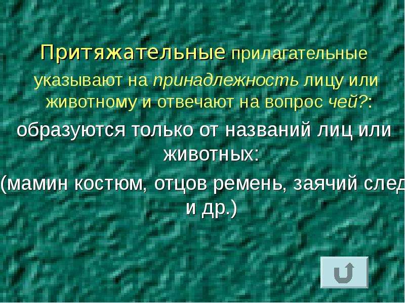 Вопрос чей. Принадлежные прилагательные. Притяжательные прилагательные Заячий след. Заячий след это притяжательное прилагательное. Найдите притяжательное прилагательное Заячий след.