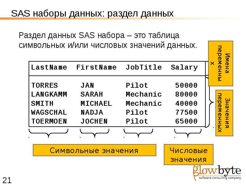 Дай сас. SAS язык программирования. Набор данных. SAS Base. Структура САС.