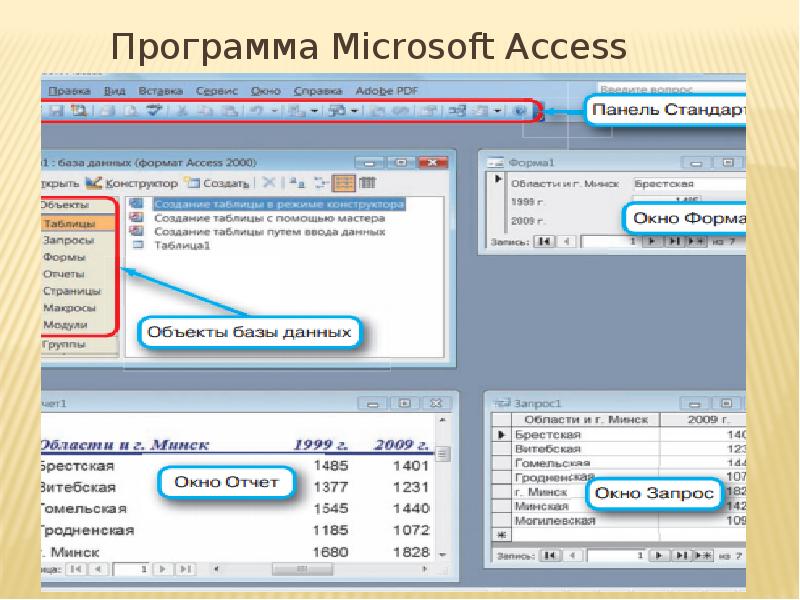 Что значит access. База данных MS access. Программа MS access. База данных программа access. БД Microsoft access.