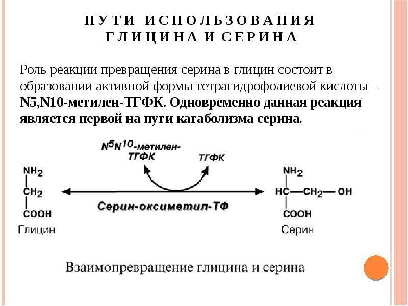 Схема обмена глицина и серина