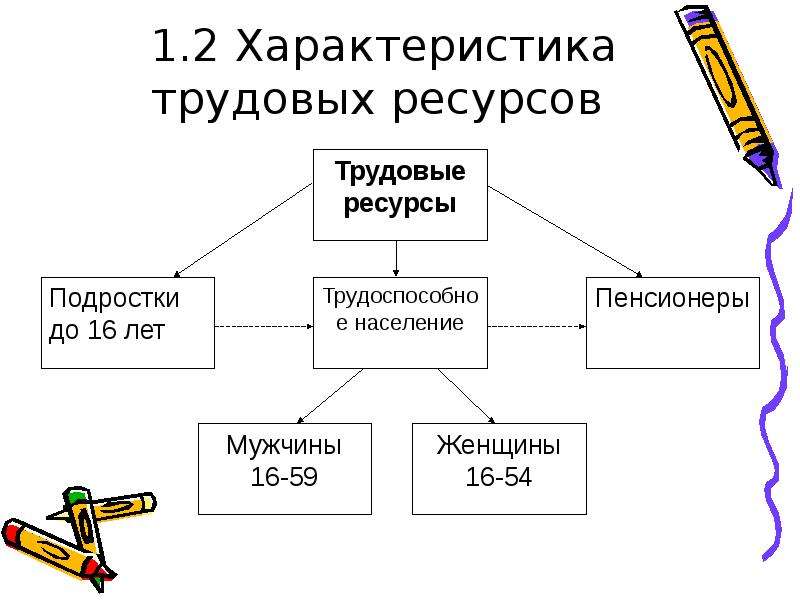 Характеристика трудовых ресурсов