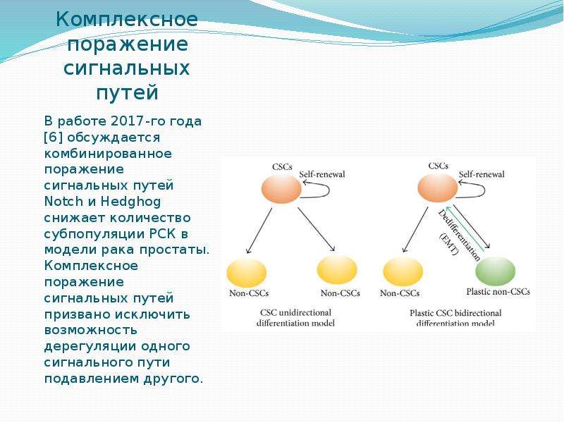 Раковый корпус презентация