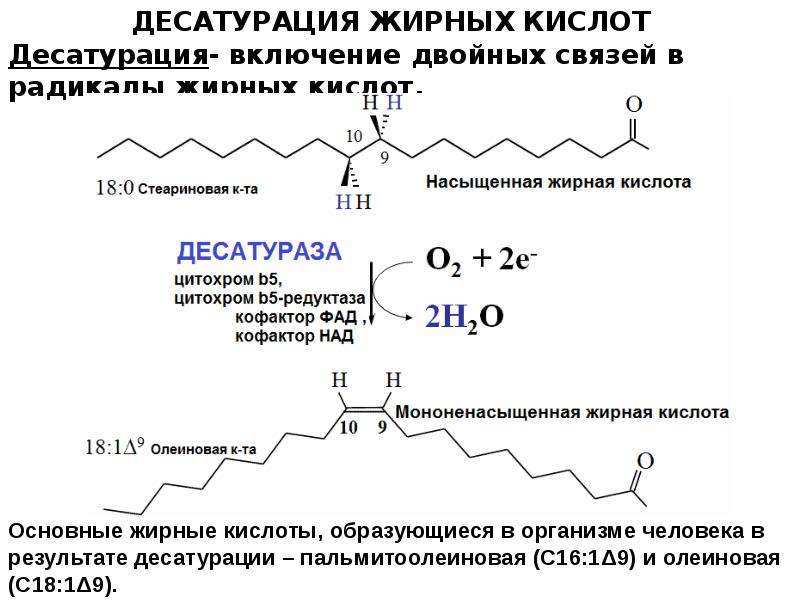 Липидов кислота