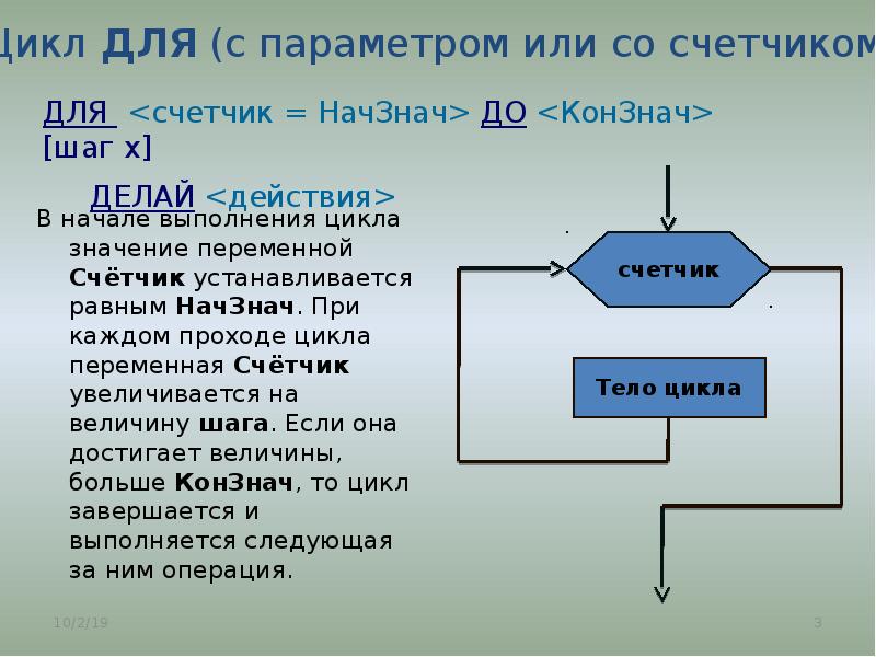 Цикл организма