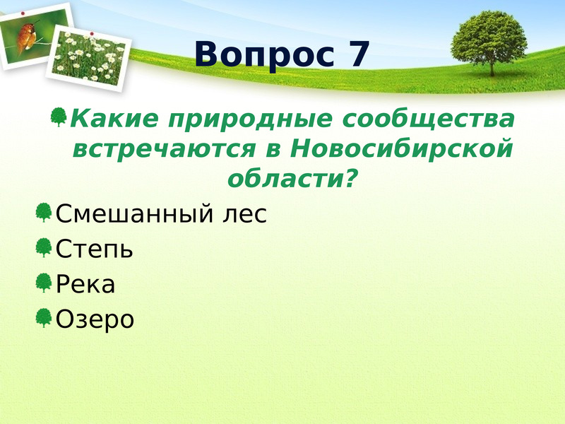 Понятие о природном сообществе 6 класс биология презентация