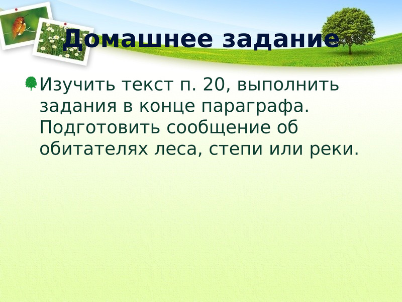 Карта осадков спасск рязанский онлайн