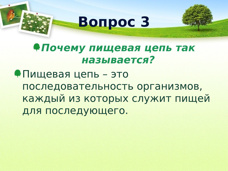 Природные сообщества 7 класс биология презентация