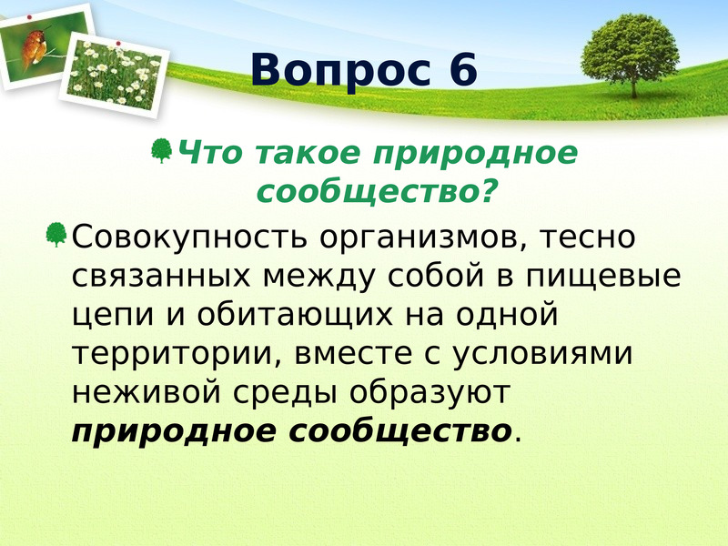 Презентация природное сообщество сад 2 класс