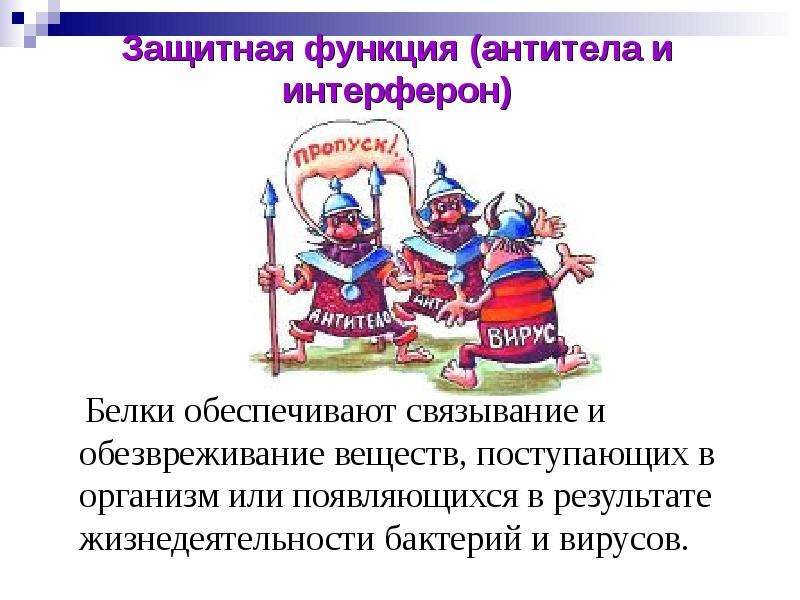 Защитная функция белков. Защитная функция белков антитела интерферон. Белок интерферон функции белка. Функция белка обезвреживание веществ поступающих в организм. Интерферон белок функция.