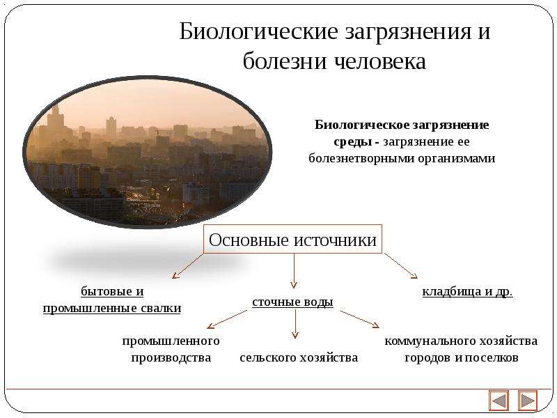 Биологические загрязнения и болезни человека картинки