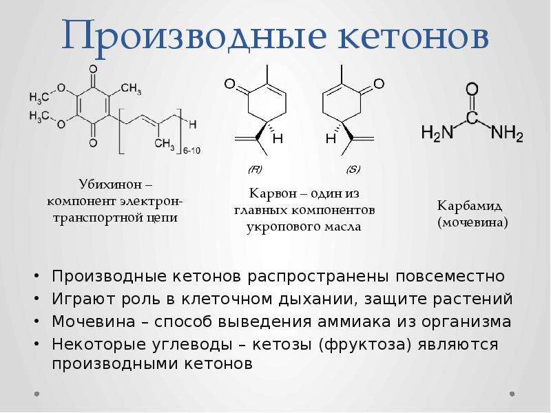 Презентация электричество в живых организмах