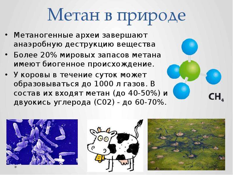 Роль метана. Metan. Метан в природе. Метаногенные архебактерии. Химическое соединение метана.
