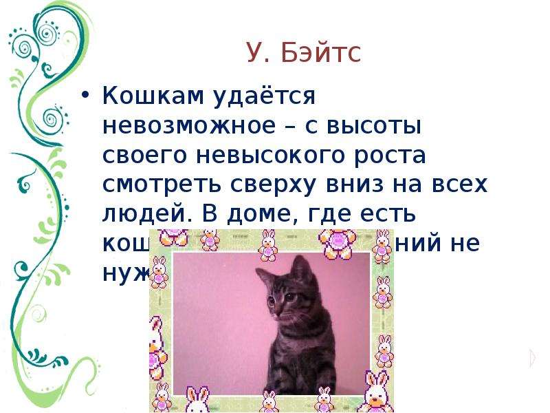 Где ели кошек