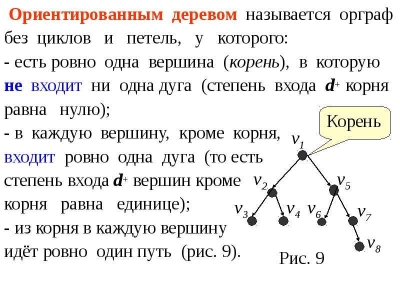 Вершина корень