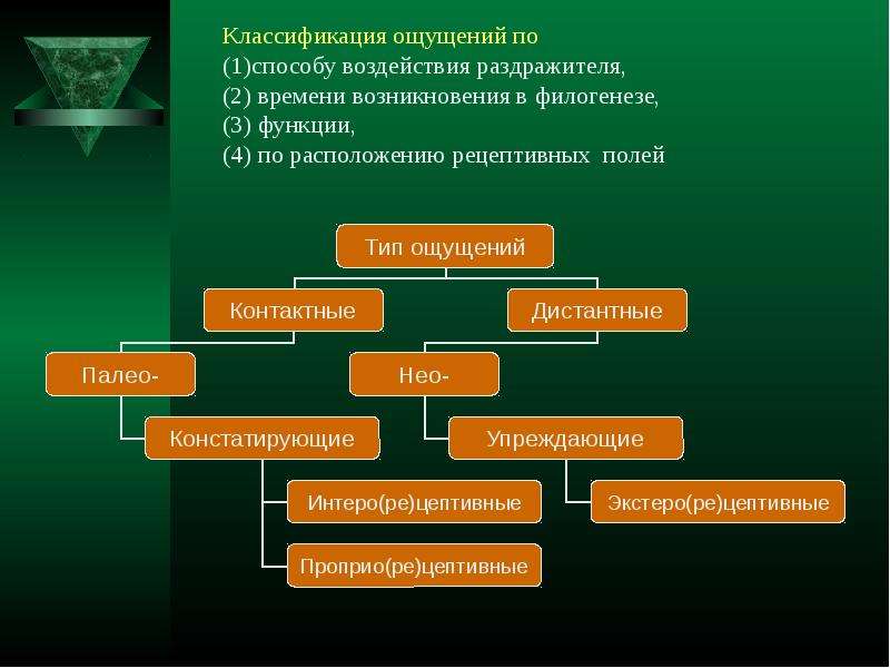 Первое ощущения. Классификация ощущений по расположению раздражителя. Классификация ощущения по происхождения. Познавательный процесс классификации ощущение. Классификатор чувств.