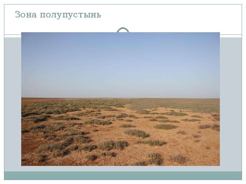 Тест северные безлесные зоны 8 класс. Пустыни и полупустыни России климат. Зона полупустынь и пустынь России 8 класс. Полупустыня природная зона.
