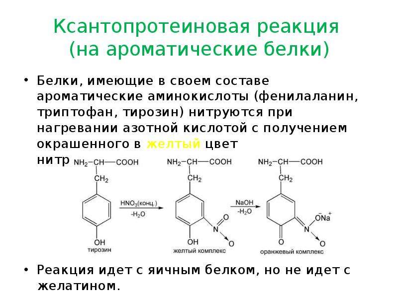Белок концентрированная азотная кислота. Ксантопротеиновая реакция триптофан. Ксантопротеиновая реакция на тирозин. Качественная реакция на белки ксантопротеиновая. Ксантопротеиновая реакция на ароматические аминокислоты в белке.